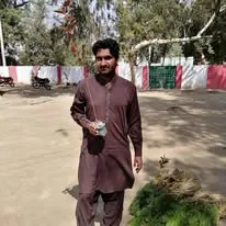 Green Seekers Activity